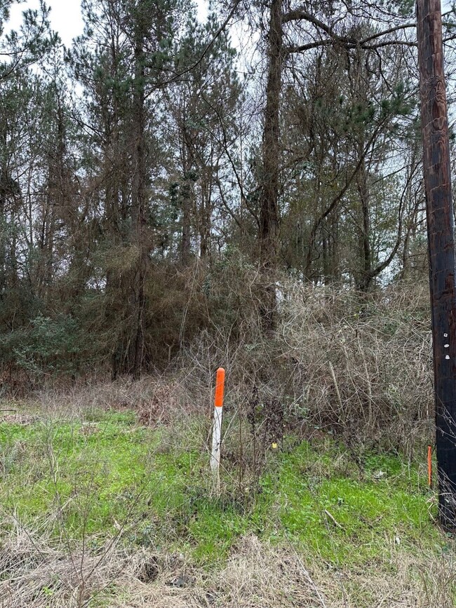 00 Magnolia Spring, Plantersville, TX 77363 - photo 6