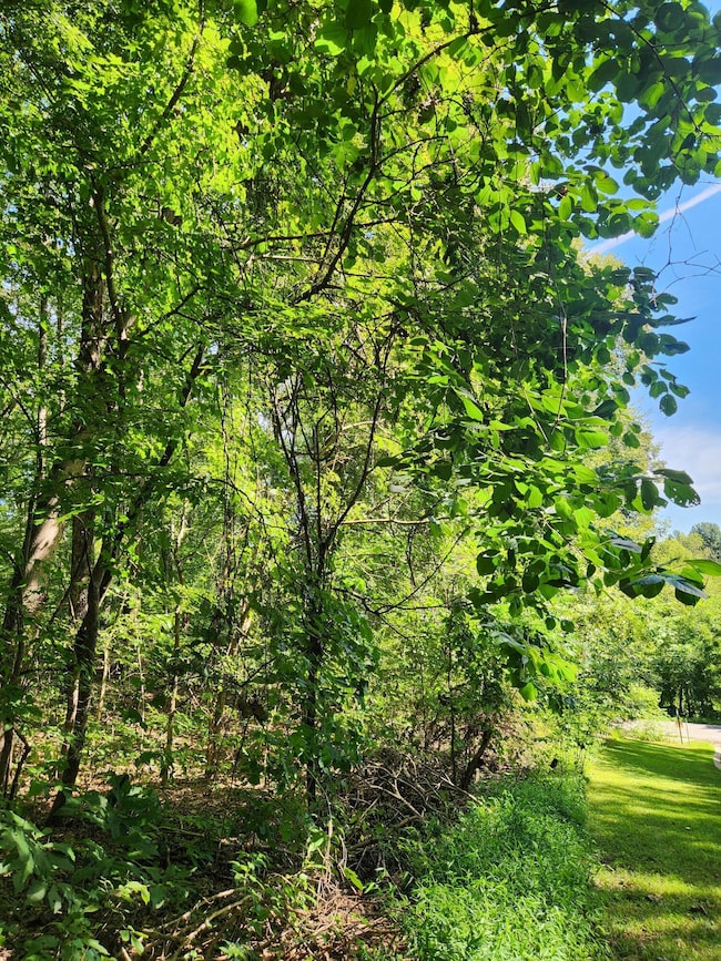 0 Old State Highway 28, Dunlap, TN 37327 - photo 4