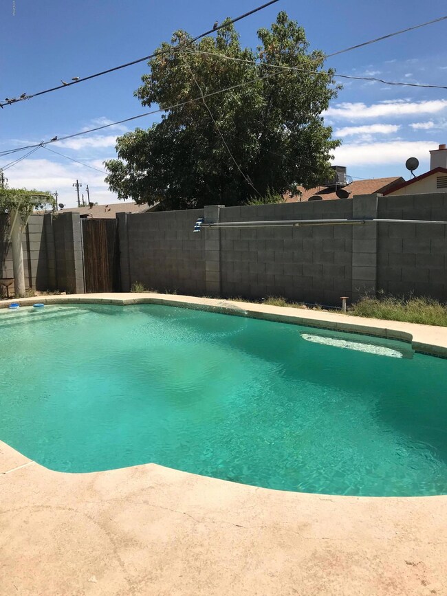 diving pool