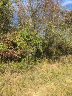 Lot 37 Melanie Dr, Cookeville, TN 38506 - photo 4