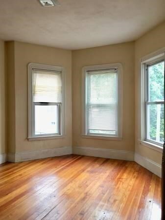 96 Normandy St unit 1, Dorchester, MA 02121 - photo 3