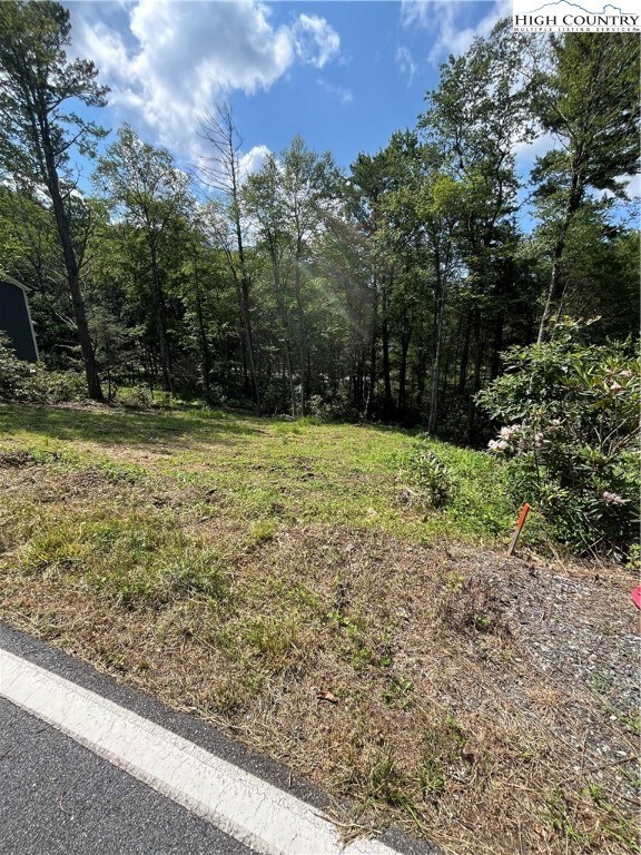 TBD Laurel Ln, Blowing Rock, NC 28605 - photo 3