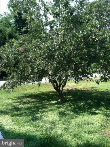 40242 Dockser Dr, Mechanicsville, MD 20659 - photo 5