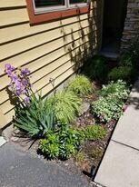 crescent landing iris front lake