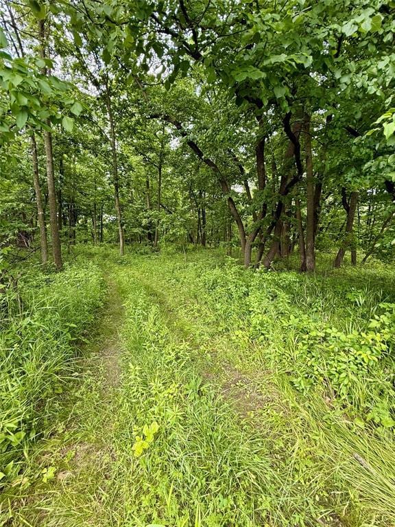 1038 L Ave, Boone, IA 50036 - photo 5