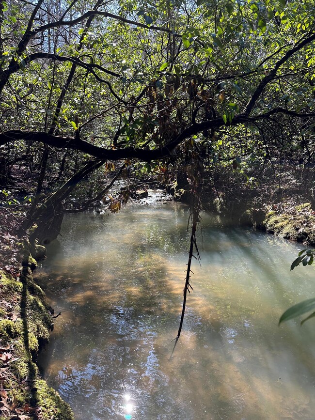 Tract 16 Thomas Springs Rd, Crossville, TN 38572 - photo 2