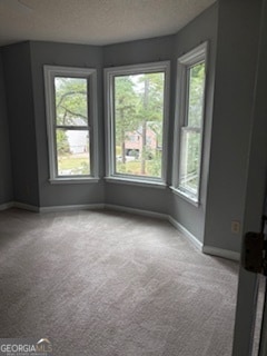 11180 Surrey Park Trail, Duluth, GA 30097 - photo 7