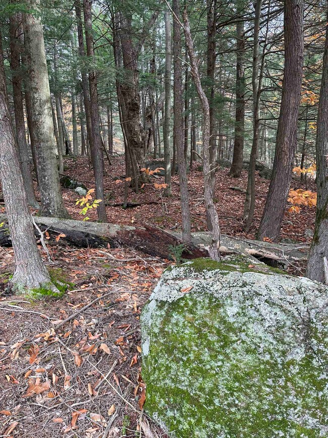 102 Colburn Farm Rd, Newbury, NH 03255 - photo 5