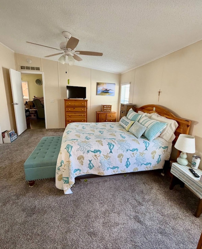 10533 Golden Terrace, New Port Richey, FL 34655 - photo 5