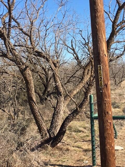 0 Twin Lakes Ln unit 11 103705, San Angelo, TX 76904 - photo 3