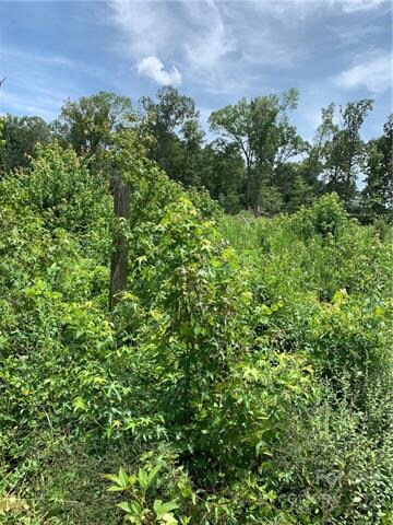 9044 Highway 601, Midland, NC 28107 - photo 5