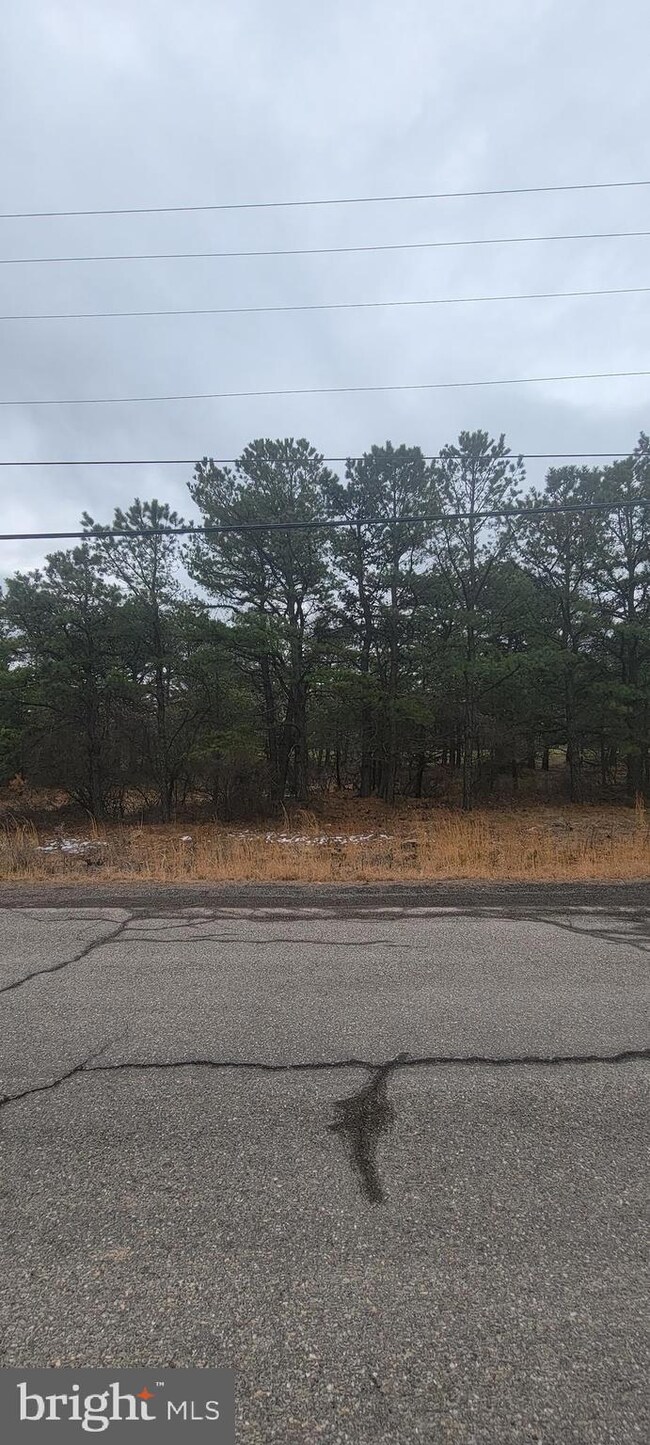 ERII 331 Glen Eagle, Hazle Township, PA 18202 - photo 5