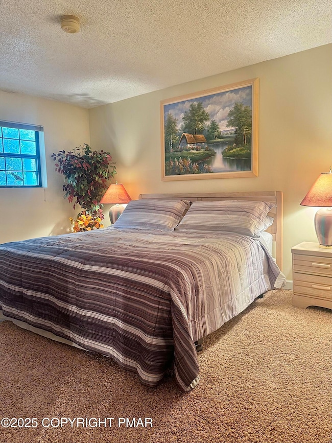 33 Midlake Dr unit 101, Lake Harmony, PA 18624 - photo 6