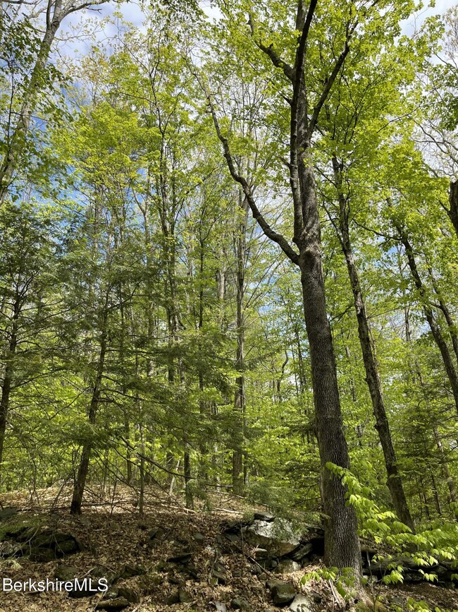 unlisted-address, Cummington, MA 01026 - photo 3