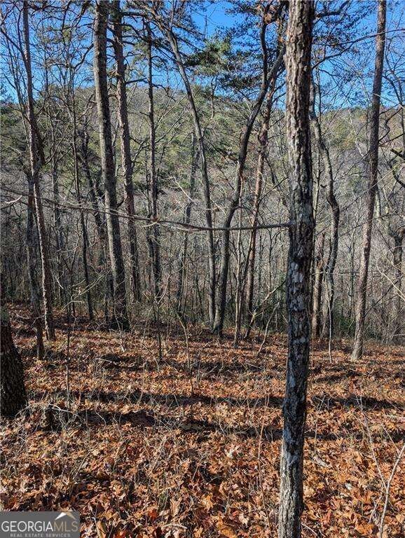 1400 Foxhound Trail NE, Ranger, GA 30734 - photo 6