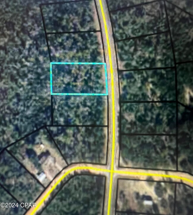 0 Fairview Rd unit 765041, Alford, FL 32420 - photo 2