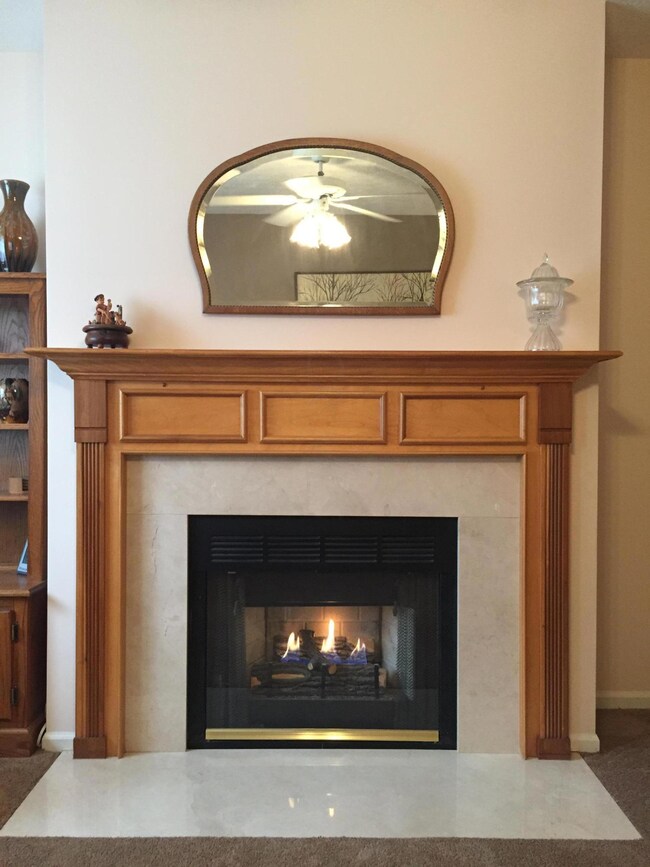GAS LOG FIREPLACE IN LIVING ROOM