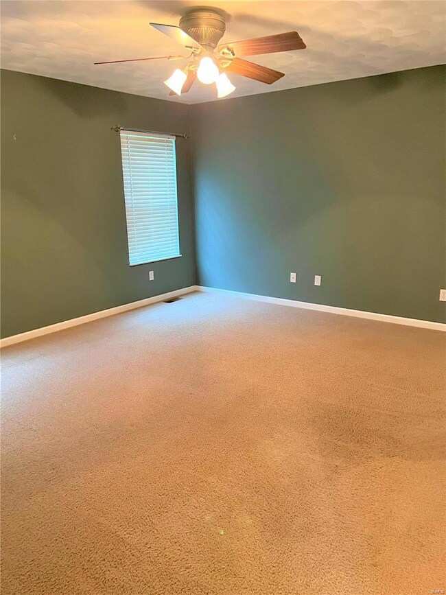 unlisted-address, Freeburg, IL 62243 - photo 5