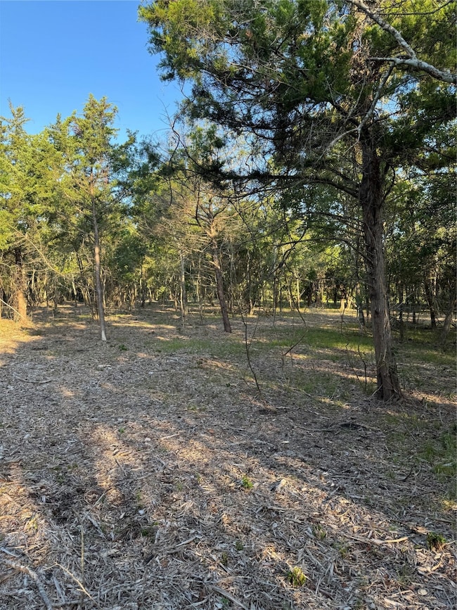 Lot 26 Winding Branch, Chappell Hill, TX 77426 - photo 4