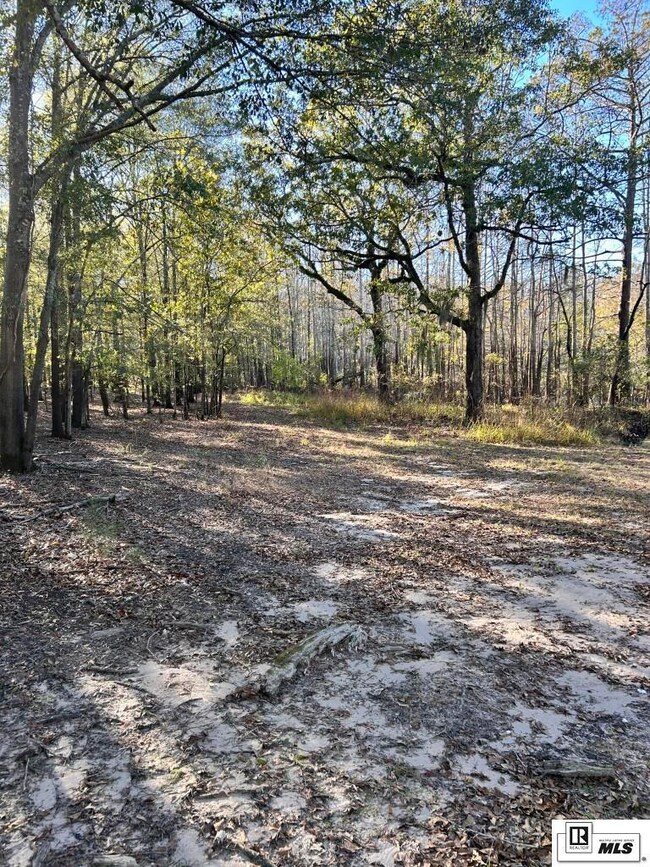 1275 Watson School Rd, West Monroe, LA 71292 - photo 4