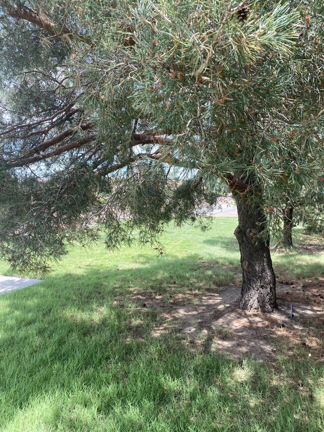 1400 S Main St, Hugoton, KS 67951 - photo 5