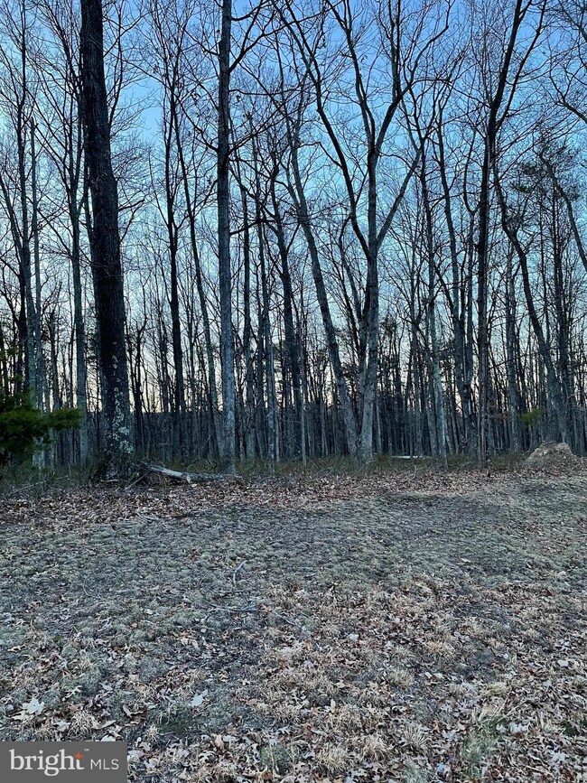 23 Twin Lakes Dr, Berkeley Springs, WV 25411 - photo 2