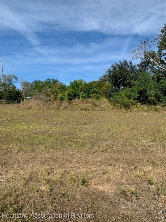 407 E Citico St, Avon Park, FL 33825 - photo 4