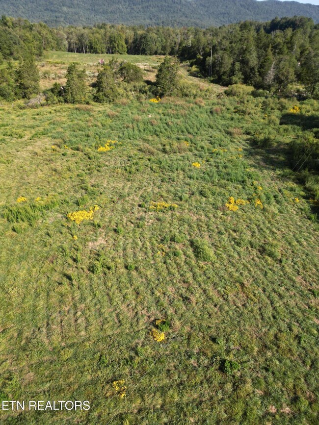 317 Singleton Hollow Rd unit lot 1, Speedwell, TN 37870 - photo 6