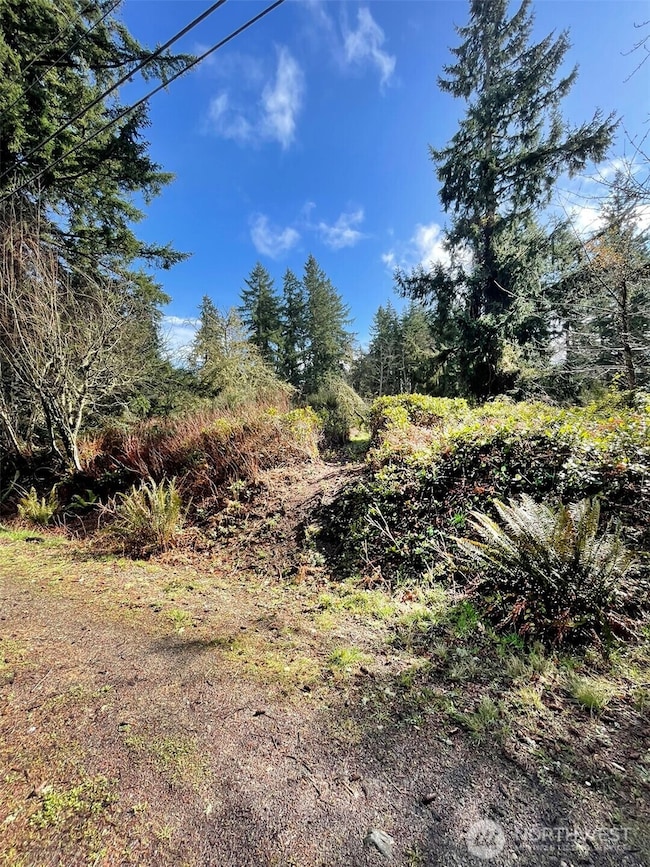 Entrance to the property off of Bank Road. Trail runs through the entire lot, passing through meadow and forest.