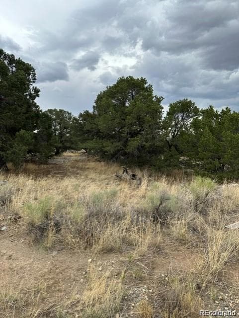 110 Indian Hill Rd, Mosca, CO 81146 - photo 2