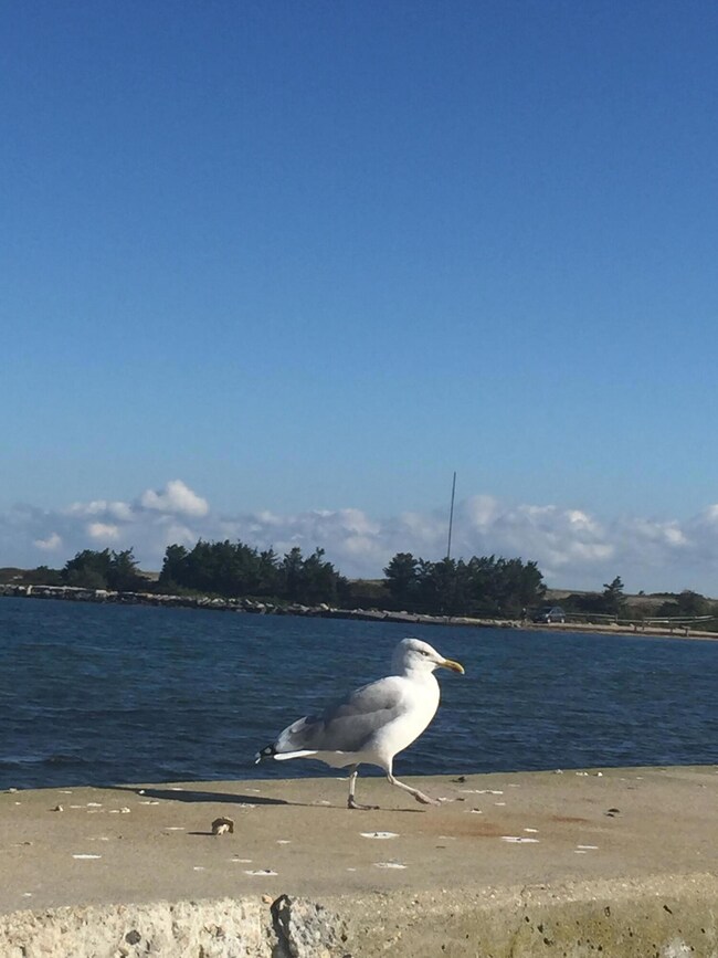 0 Worcester Ave, Hudson, MA 01749 - photo 7