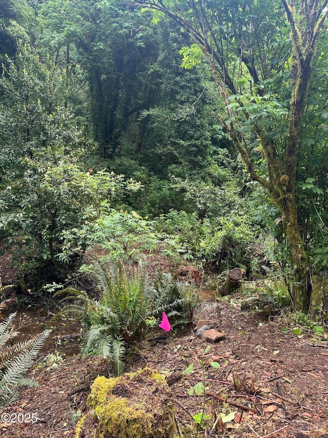 Risley Creek