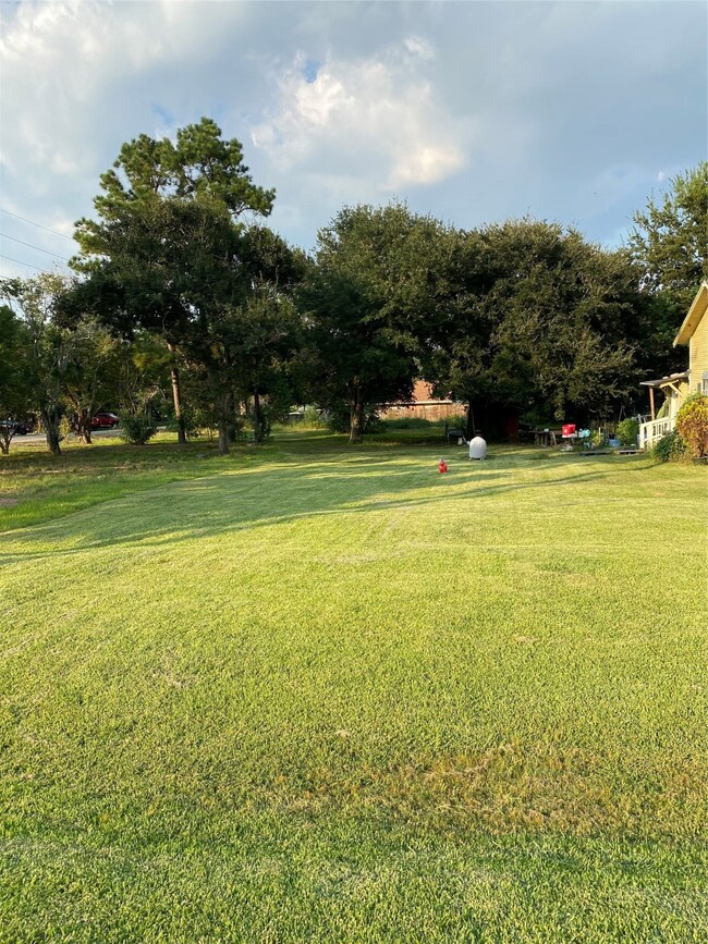 0 Altimore Rd, Needville, TX 77461 - photo 5