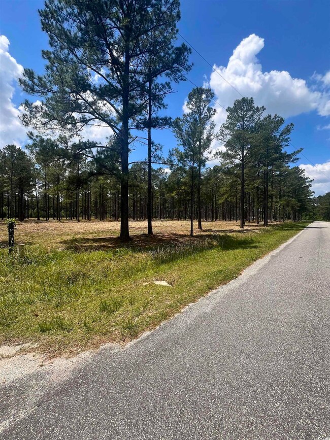Lot 1 Ashley Cir, Conway, SC 29526 - photo 7