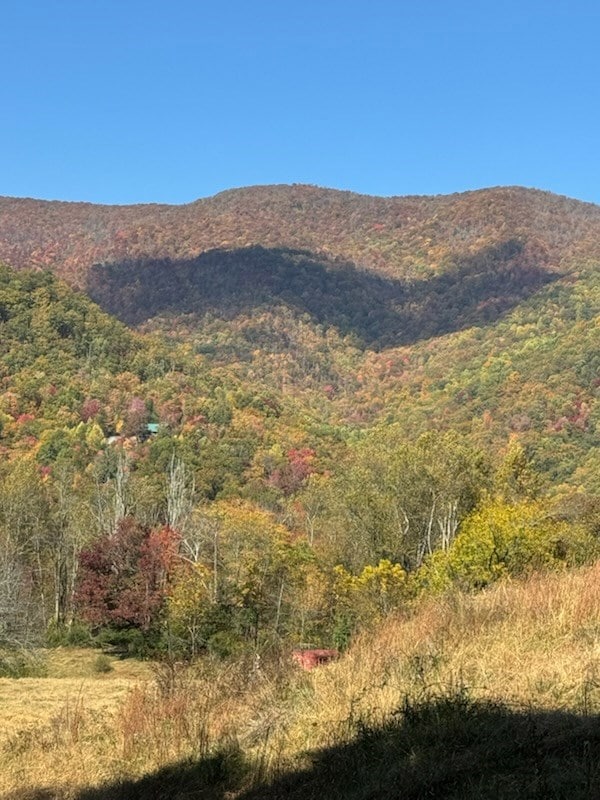 10617 U S Highway 64, Hayesville, NC 28904 - photo 2