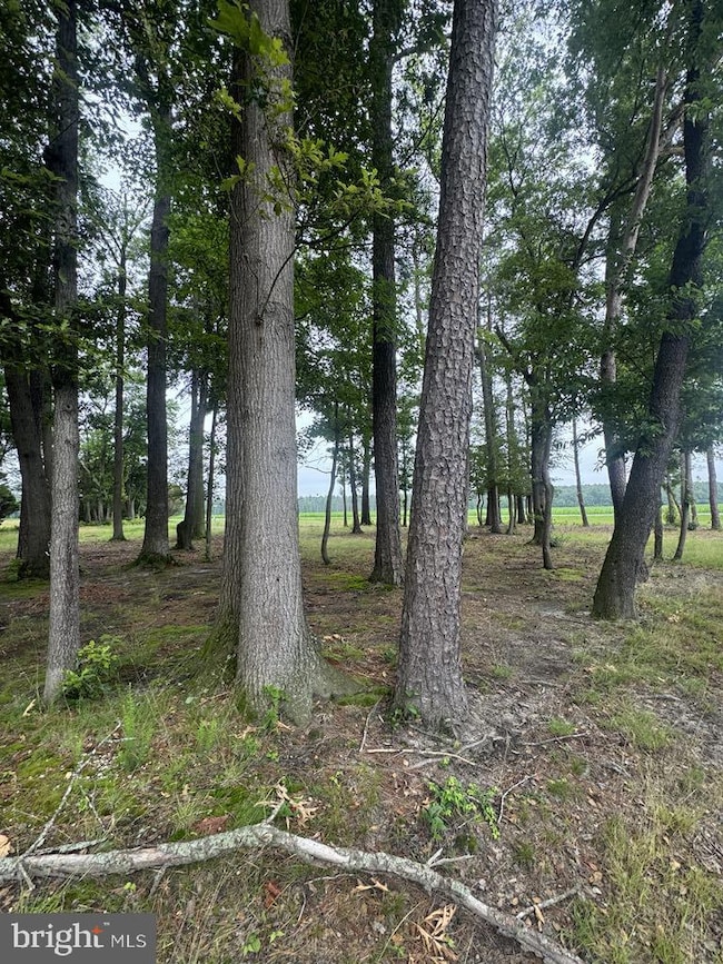 14073 Old Furnace Rd, Georgetown, DE 19947 - photo 6