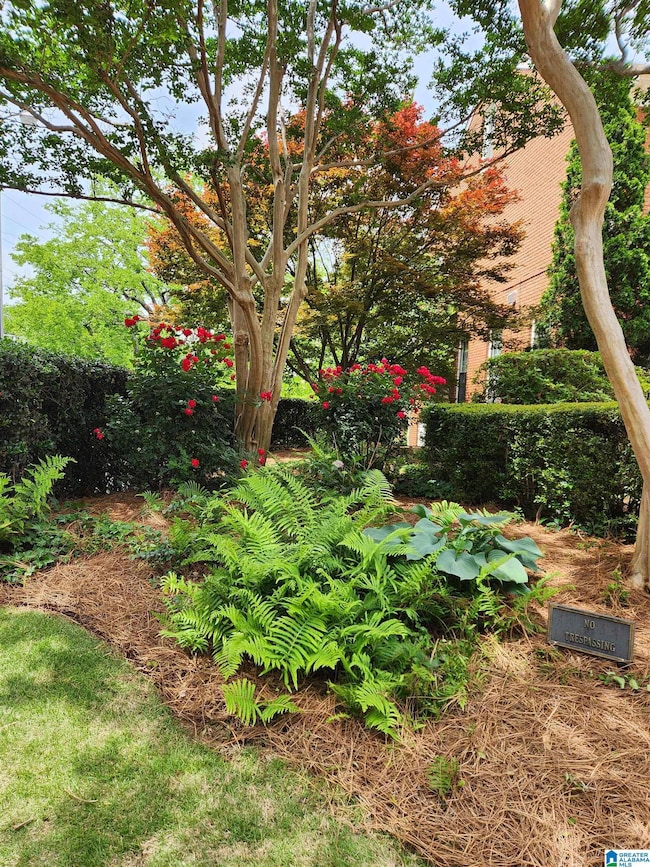 1209 29th St S unit 4, Birmingham, AL 35205 - photo 5