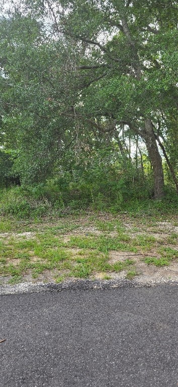 View facing lot