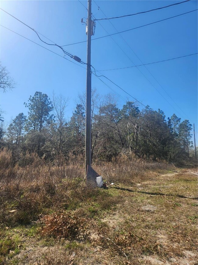 2848 W Buccaneer Ln, Citrus Springs, FL 34433 - photo 5