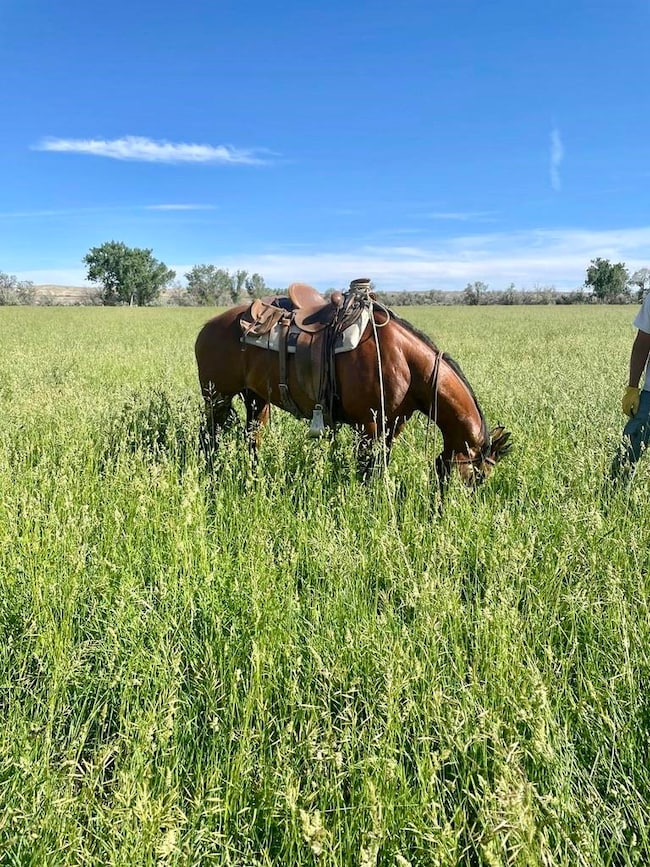 TBD Highway 30, Basin, WY 82410 - photo 2