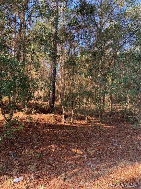 30 E Jinnita St, Hernando, FL 34442 - photo 5