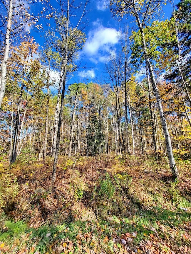 00 Swazey Ln unit 14, Bethlehem, NH 03574 - photo 4