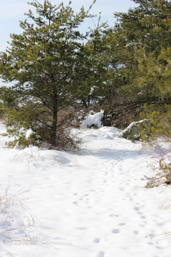 Heading into the main trail