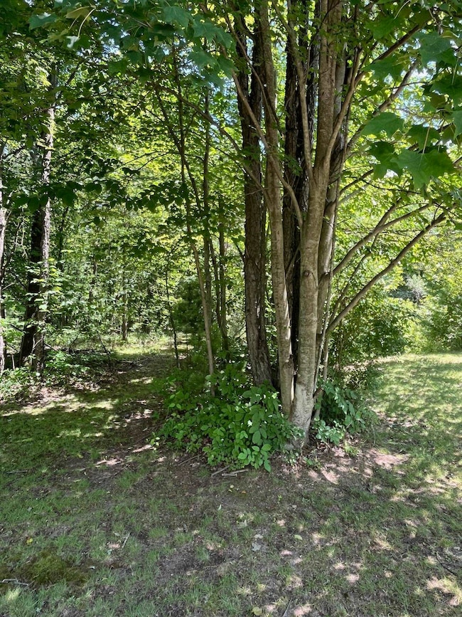 2535 S River Rd, Beaverton, MI 48612 - photo 7