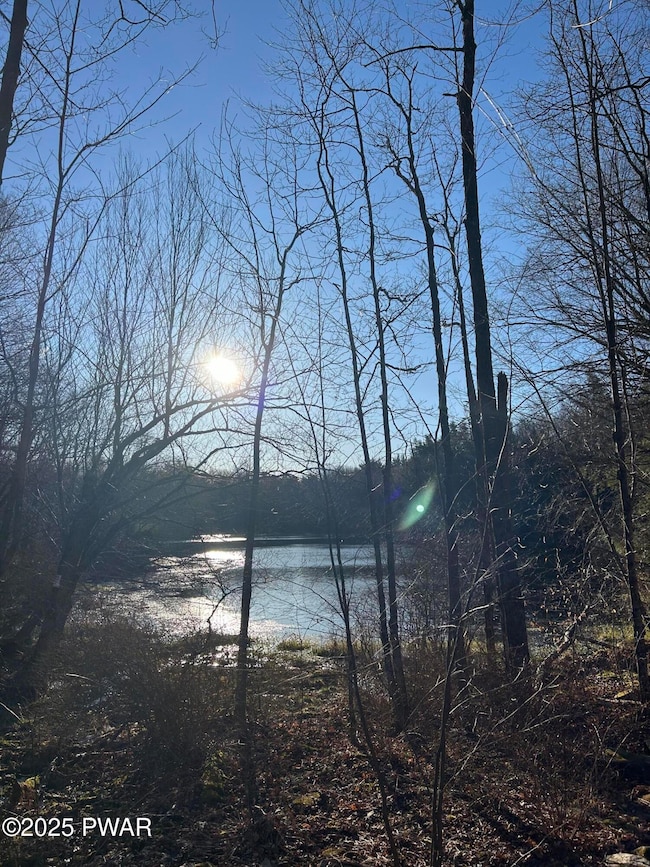 4, 5, 6, 7 Secluded Lake Rd, Newfoundland, PA 18445 - photo 5