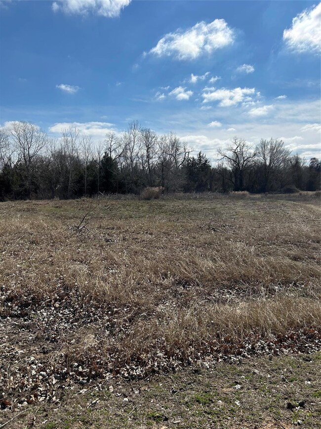 4336 Tapatio Springs Rd, Fort Worth, TX 76108 - photo 2