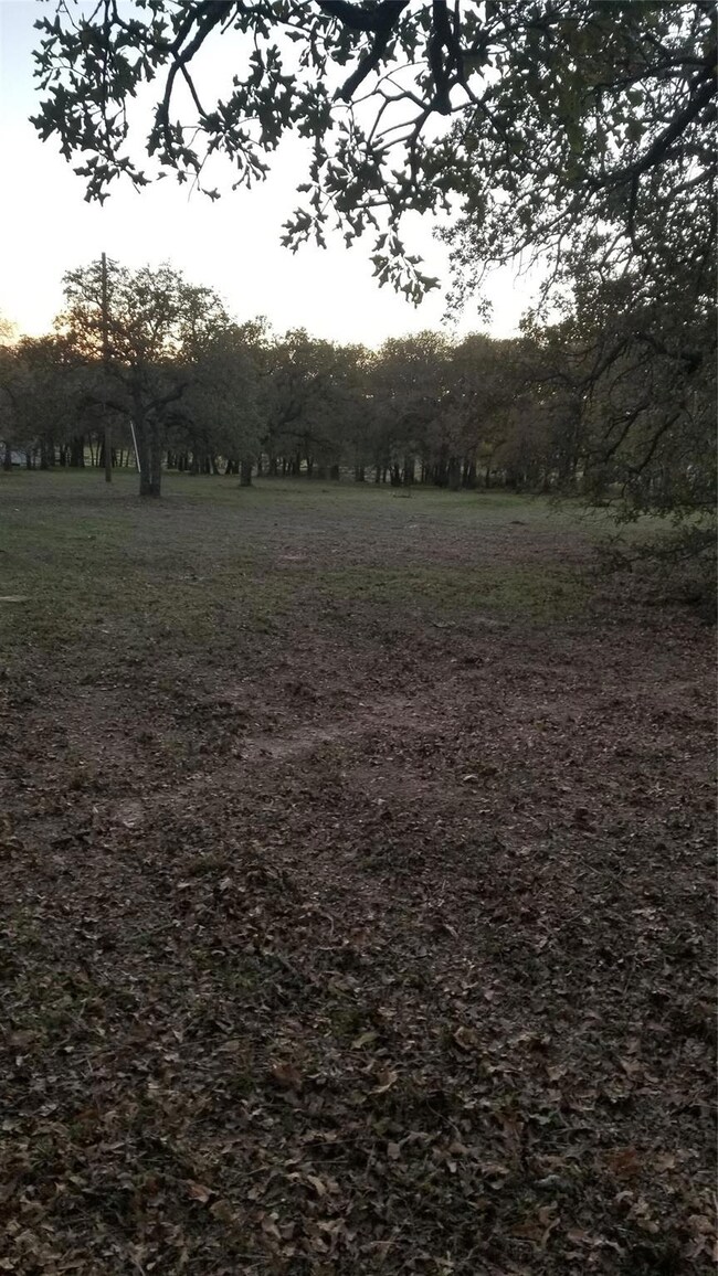 TBD Lavender Rd, Springtown, TX 76082 - photo 6