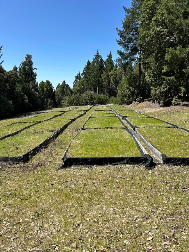 000 Panther Gap Rd, Honeydew, CA 95545 - photo 2