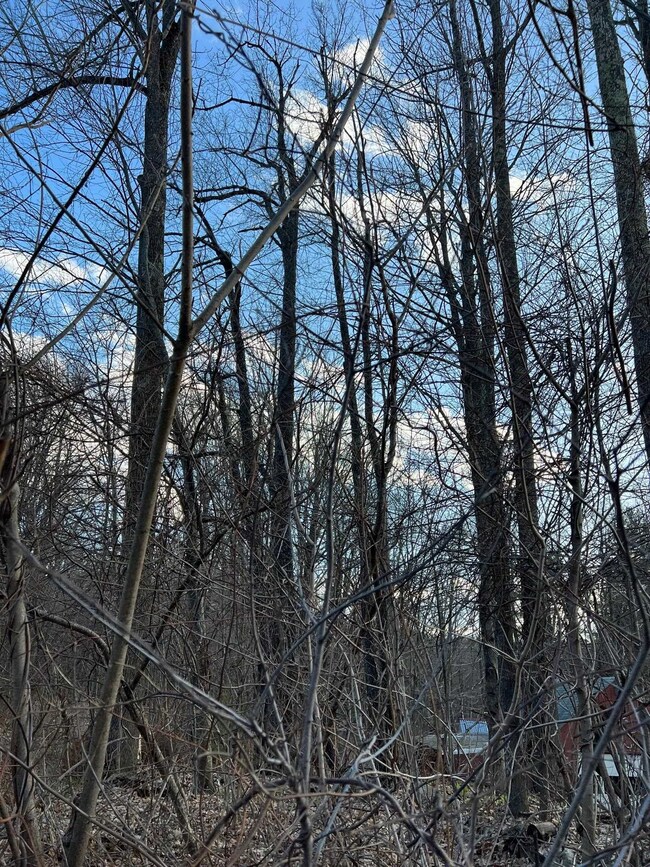 Map 16-a Lot 25 Turnpike Rd unit Map 16- A Lot 25, New Ipswich, NH 03071 - photo 4