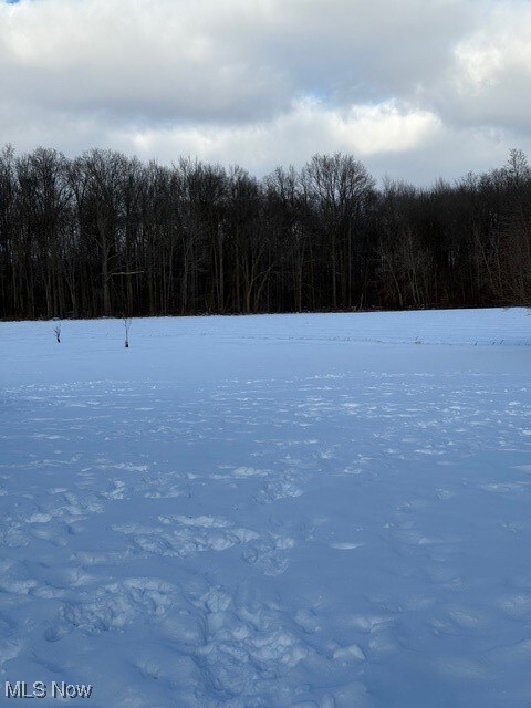 0 Griggs Rd unit 5176126, Jefferson, OH 44047 - photo 5